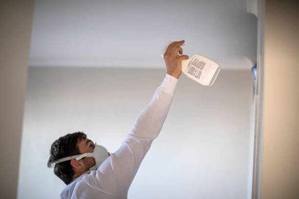 Best Home Mold Removal  in Big Coppitt Key, FL