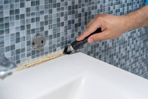 Best Fast Mold Removal  in Big Coppitt Key, FL